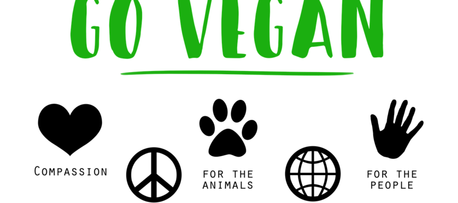 vegan-statt-vegetarisch: Gründe für Veganismus