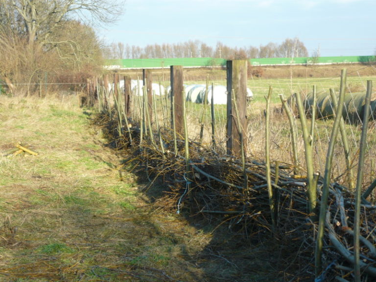 Benjeshecke Zaun aus Ästen selber bauen TransitionsBlog