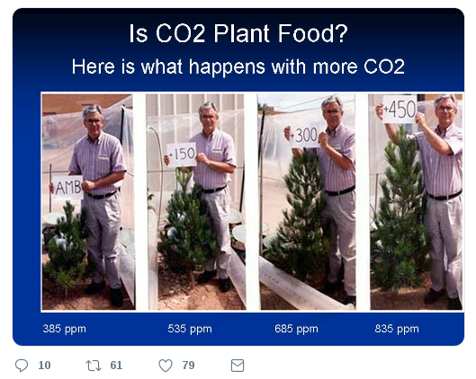 Mehr CO2 in der Atmosphäre fördert das Pflanzenwachstum (Quelle: Twitter)