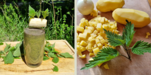 Rezepte mit Brennnessel