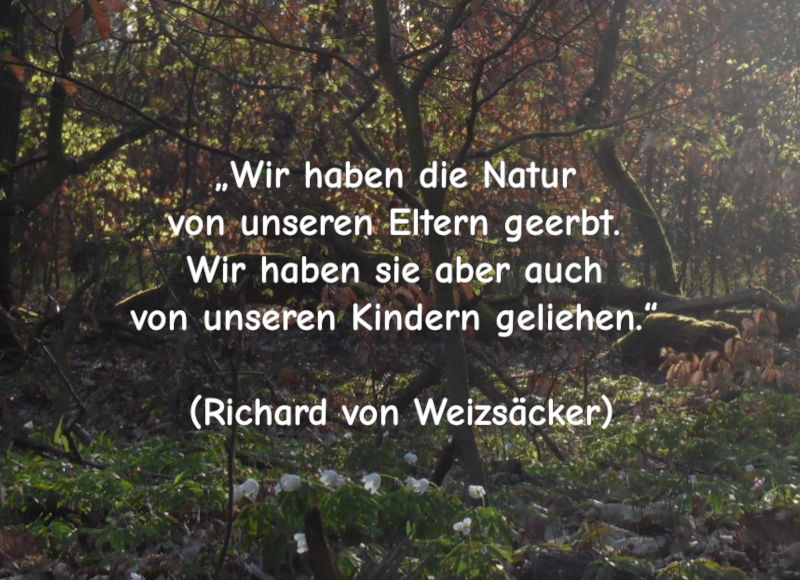 Zitate zur Nachhaltigkeit und Generationengerechtigkeit von Richard von Weizsäcker