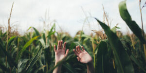 Nachhaltig leben: Tipps für Einsteiger
