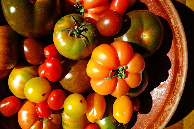 Mix aus verschiedenen Tomatensorten mit verschiedenen Geschmackrichtungen und Lagerfähigkeit