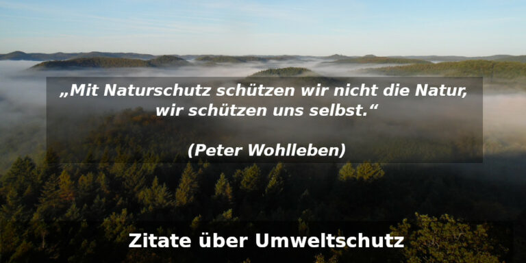 20 inspirierende Zitate über Umweltschutz TransitionsBlog