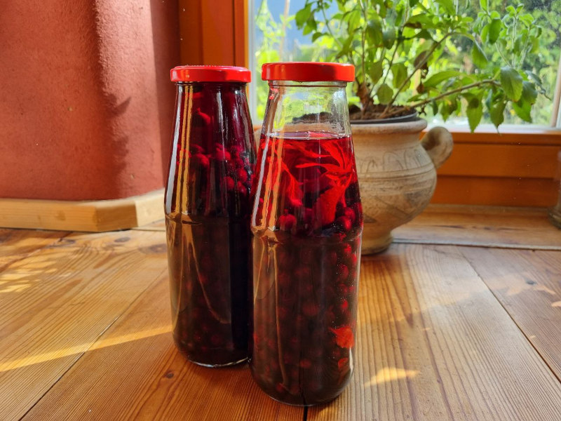 zuckerfreier Stevia-Likör mit Johannisbeeren