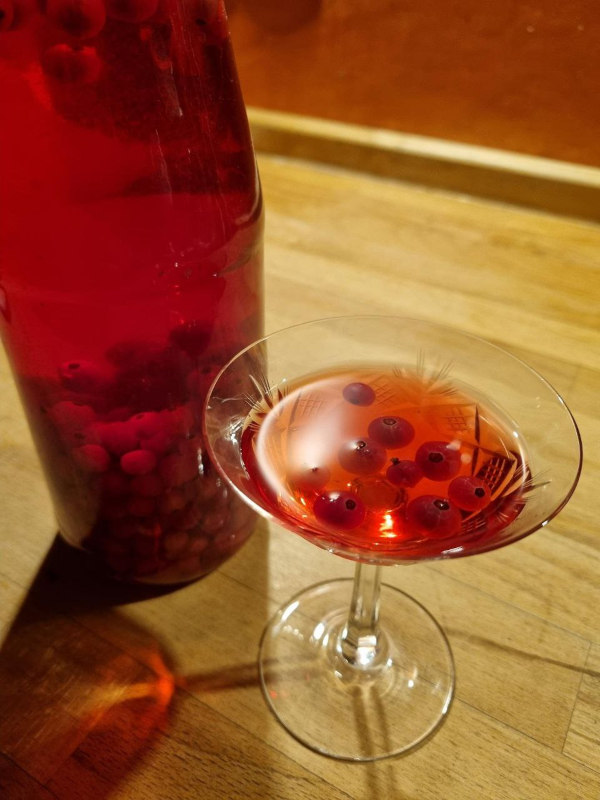 Rezept für Beeren-Likör mit Johannisbeeren