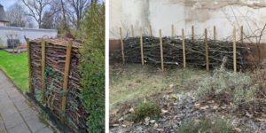 Totholzhecke in 6 Schritten anlegen